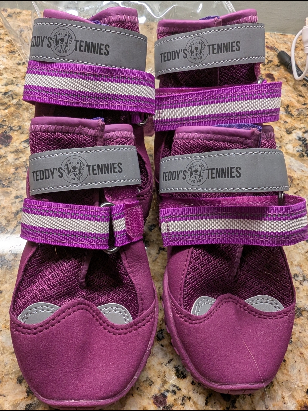 Teddy's Dog Purple Tennies/Shoes-Large 💜